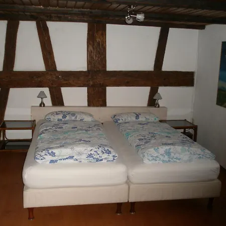فندق Elfenhof 3*