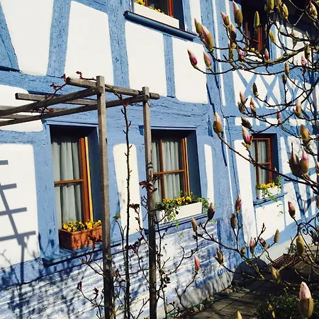Elfenhof Kippenhausen