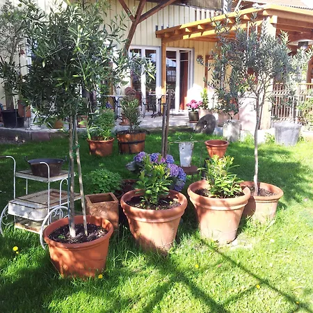 Elfenhof فندق