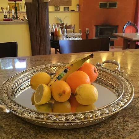 Elfenhof فندق 3*