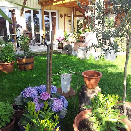 Elfenhof فندق اممنستاد ام بودينسي