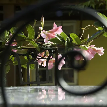 Elfenhof 3* Kippenhausen