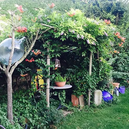 Elfenhof 3* Kippenhausen