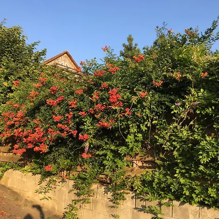 Elfenhof فندق 3*