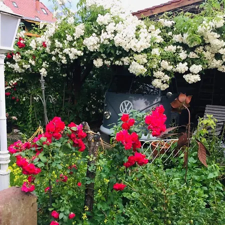 Elfenhof فندق
