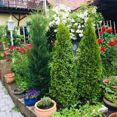 Elfenhof اممنستاد ام بودينسي